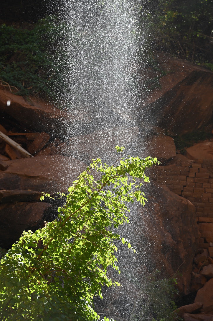 Zion Shower